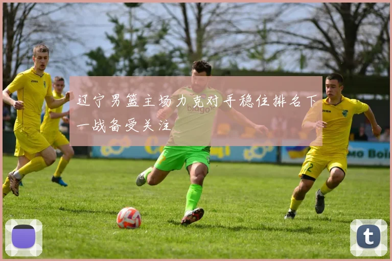 辽宁男篮主场力克对手稳住排名下一战备受关注