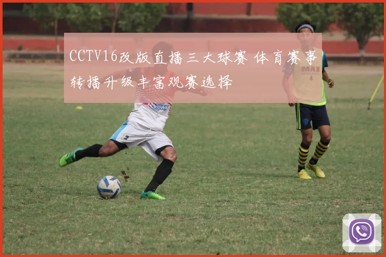 CCTV16改版直播三大球赛 体育赛事转播升级丰富观赛选择