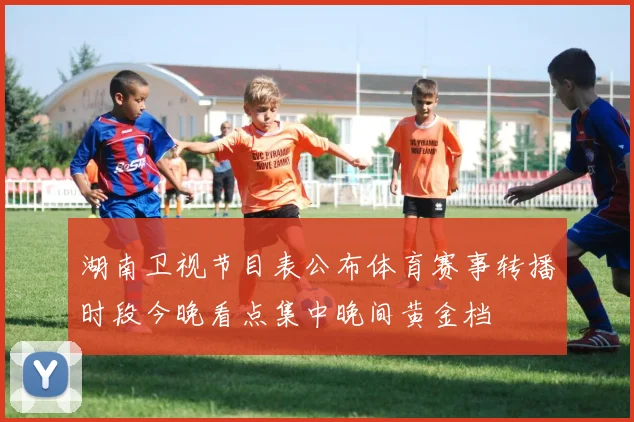 湖南卫视节目表公布体育赛事转播时段今晚看点集中晚间黄金档